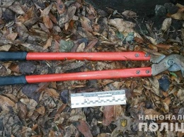 Полицейские подтвердили задержание в Першотравенске лишь одного члена банды из Павлограда