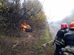 На Николаевщине спасатели ликвидировали пожар автомобиля (ФОТО)