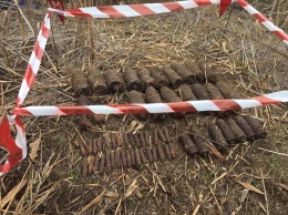 В Николаевской области обезвредили 60 взрывоопасных предметов (ФОТО)