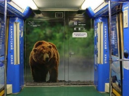 В столичном метро запустили "Дальневосточный экспресс"