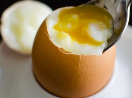 Куриные яйца могут стать спасением от возрастной слепоты