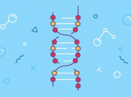 Синдром "вечного детства": ученые обнаружили редкий ген в организме человека