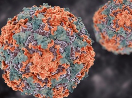 Российские ученые научились уничтожать 99% вируса гепатита B без ущерба для здоровья