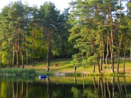 В Голосеевском районе обустроят веревочный парк