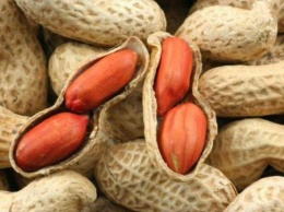 Употребление арахиса вместе с едой защищает от жесткости артерий и болезней сердца