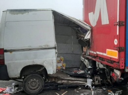 На трассе под Николаевом столкнулись грузовик и Citroen: двое пострадавших