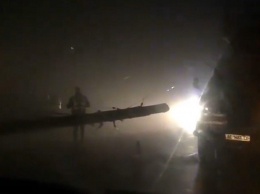 В Кривом Роге из-за густого тумана иномарка врезалась в столб
