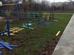 В Кривом Роге растрощили парк, о бездействии охраны в котором ранее предупреждал активист, - ФОТО