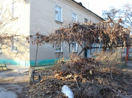 Дворники сваливают мусор во дворе многоквартирного дома