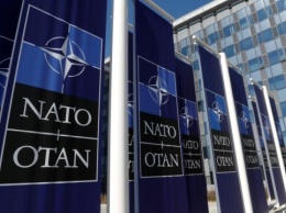 Польша обеспокоена изменением политики Франции в отношении НАТО