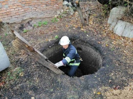 А они все падают. Николаевским спасателям снова пришлось лезть в яму - теперь за собакой (ФОТО)