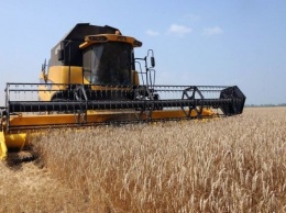 В Донецкой области урожай зерновых вырос на 40%
