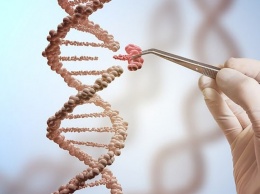 Программа CRISPR может распознавать вирусы за час