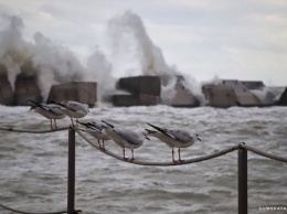 Жителей Одессы предупредили о приблежающемся мощном шторме