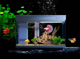 Xiaomi выпустила умный аквариум для рыбок