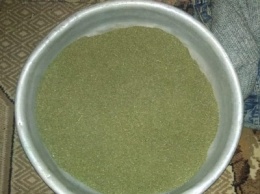 В Никопольском районе обнаружили марихуану на 700 тысяч гривен