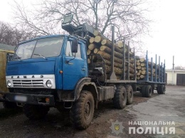 На Черниговщине задержали грузовик с незаконным лесом
