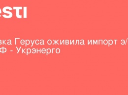 Правка Геруса оживила импорт э/э из РФ - Укрэнерго