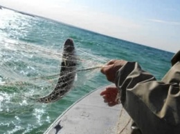 Вылов рыбы в Черном море в этом году увеличился на 63%
