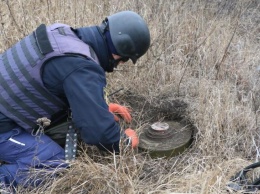 Разминирование возле Петровского обнаружили два десятка опасных предметов