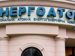 Импорт электроэнергии из РФ по правке Геруса срывает планы «Энергоатома» по привлечению иностранных средств