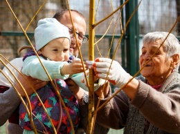 Жителей левого берега Днепра приглашают посадить Березовый сад