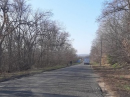 Замотал в тряпку, завязал веревкой и выкинул в посадку: а пес сидит и ждет хозяина