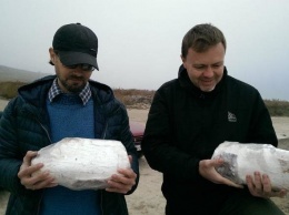 Бердянские исследователи нашли бивень мамонта на Азовском побережье, - ФОТО
