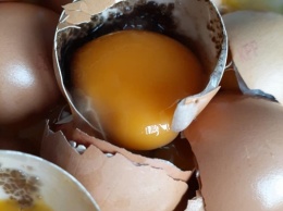 В Николаеве продают яйца с плесенью