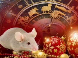 2020 год Белой Крысы - что ждет и к чему готовиться всем знакам Зодиака
