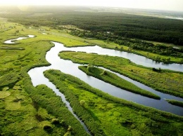 Чиновники Госгеокадастра на Харьковщине загребли 200 га земель нацпарка