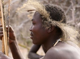 Некоторые племена демонстрирую резкое изменение кишечного биома