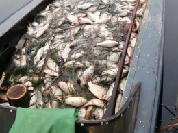 В Херсоне поймали браконьеров с полной лодкой рыбы