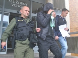В Словакии задержали украинцев с партией контрабанды янтаря на полмиллиона евро
