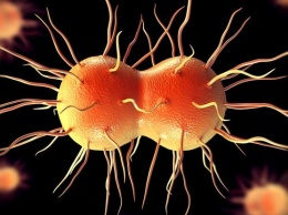 Ученые сообщили о мировой эпидемии суперинфекций