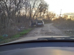 В лесополосе под Кривым Рогом жители близлежащих сел "выращивают" мусорник, - ФОТО