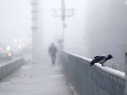 Морозы и не только: погода преподнесет украинцам неприятный сюрприз - к чему готовиться