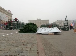 На площади Свободы начали устанавливать новогоднюю елку, - ФОТО
