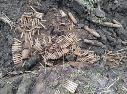 В Софиевском районе уничтожили устаревшие боеприпасы