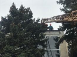 В Мелитополе уже устанавливают елку (фото)