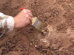 В Черниговской области археологи нашли уникальный артефакт: наши предки использовали для охоты