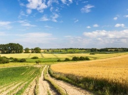 В Кабмине разработали механизм недопуска иностранцев к рынку земель