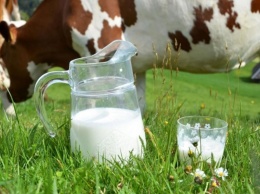 Молоко вызывает сонливость и может привести к развитию раковых опухолей