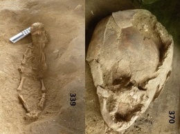 Найдено жуткое «кладбище младенцев», похороненных в шлемах из черепов
