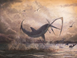 Ученые нашли акулу возрастом 91 миллион лет