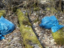 В Украине запретят использовать пластиковые пакеты: что об этом нужно знать