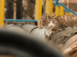 В Бердянске утеплили всего 1 км "голых" теплотрасс