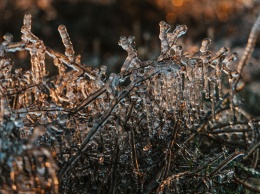 Информатор принес для жителей Днепра первые фото зимы