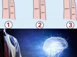 Длинный мизинец - великий ум: Психологи нашли взаимосвязь размера пальца с интеллектом