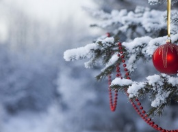 Новогодняя погода удивит не на шутку: синоптики ошарашили неожиданным прогнозом